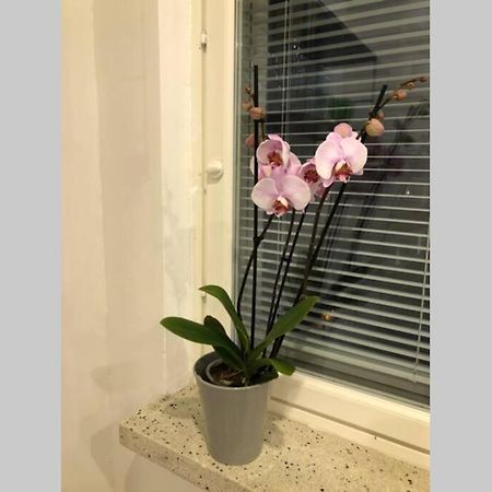 Studio Vescu Lahti Eksteriør bilde